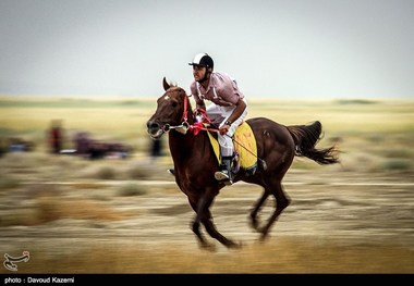 مسابقات کشوری «هنرهای رزمی سواره» در مرودشت برگزار می‌شود