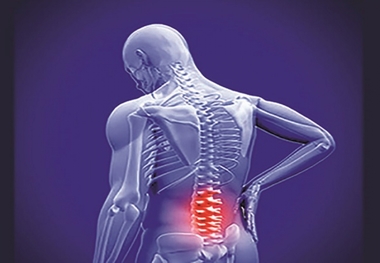 همه چیز در خصوص ستون فقرات بدن