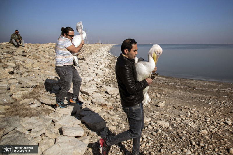 منتخب تصاویر امروز جهان- 8 دی 1400