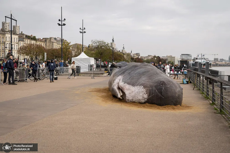 منتخب تصاویر امروز جهان - 23 مهر 1401