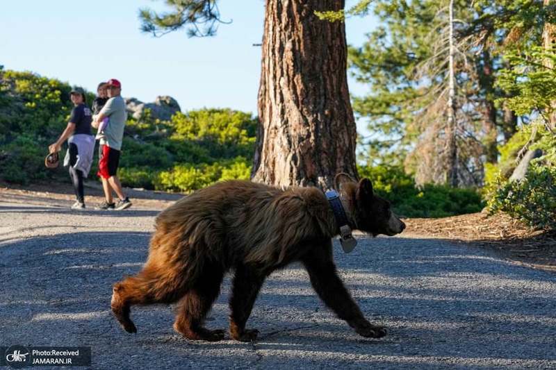 منتخب تصاویر امروز جهان- 14 تیر 1400