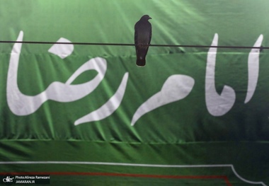 زیارت مخصوصه امام رضا(ع) کدام زیارت است؟/متن زیارت مختصر امام رضا(ع)