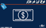 جدیدترین قیمت لیر و سایر ارزها در بازار 10 شهریور 1405
