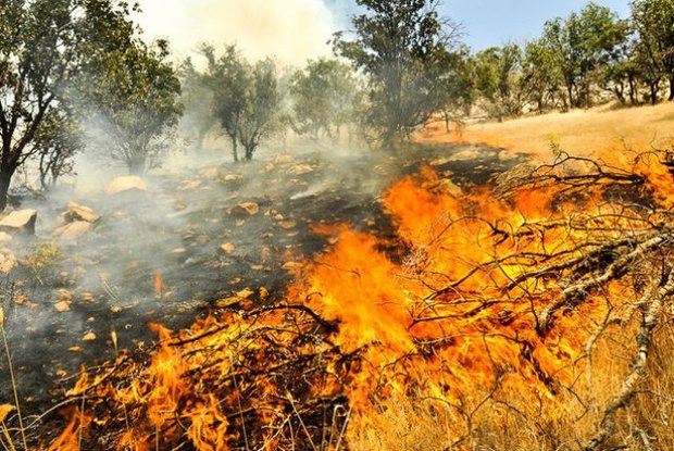 هواشناسی البرز درباره احتمال آتش سوزی درمراتع کوهستانی هشدار داد