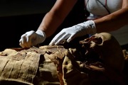 احتمال درمان بیماری‌های بدخیم با رمزگشایی از بدن یک مومیایی مصری