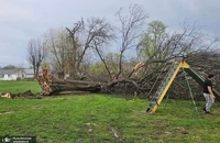 گردباد عظیم به غرب آمریکا خسارت زد (1)