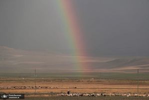 منتخب تصاویر امروز جهان- 26 مرداد 1400