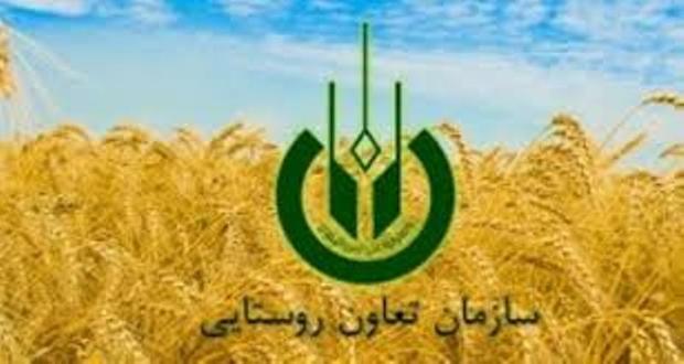 راهبرد اصلی تعاون روستایی توزیع کالاهای اساسی در مناطق محروم است