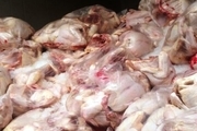 23 تن گوشت مرغ غیربهداشتی در گرمسار معدوم شد