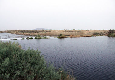 تالاب گاوخونی اصفهان یک دهه در حسرت جشن پرندگان مهاجر