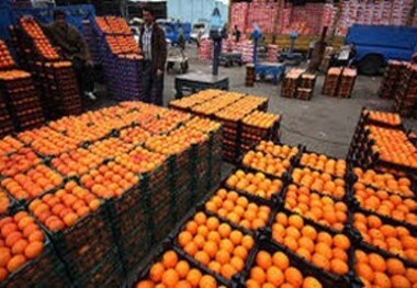 خرید بیش از یکهزار تن میوه مورد نیاز شب عید استان پیش بینی شده است