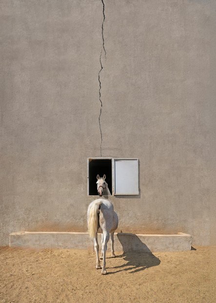 خوشرو عکاس برتر کانسپچوال (مفهومی) مسابقات 35AWARDS 2024 شد