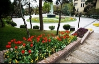 1399011318443498120039604