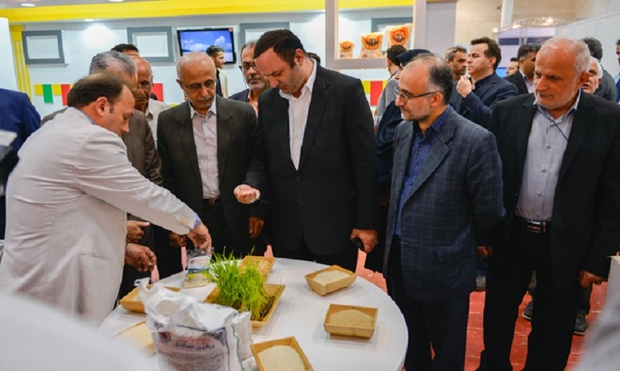نمایشگاه فن بازار برنج در منطقه آزاد انزلی گشایش یافت