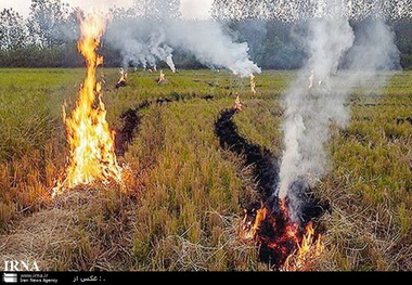 8 هکتار از مراتع فیروزکوه در آتش سوخت