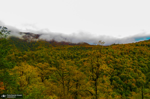 آبشار لونک دیلمان