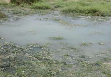 خطر بیماری التور در کمین اهالی سه روستای ماهشهر