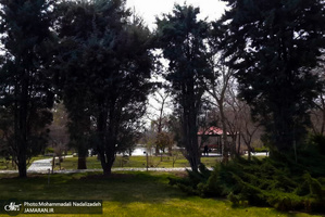 باغ گیاه شناسی ملی ایران