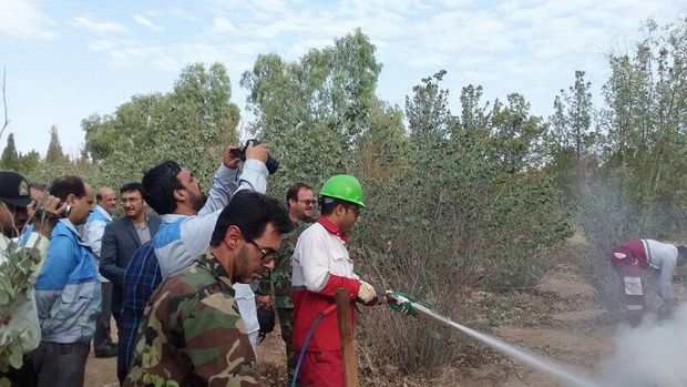 مانور مهار آتش در عرصه‌های جنگلی بوستان فراغه ابرکوه برگزار شد
