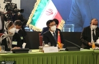 گزارش تصویری از افتتاحیه دومین نشست همسایگان افغانستان (8)