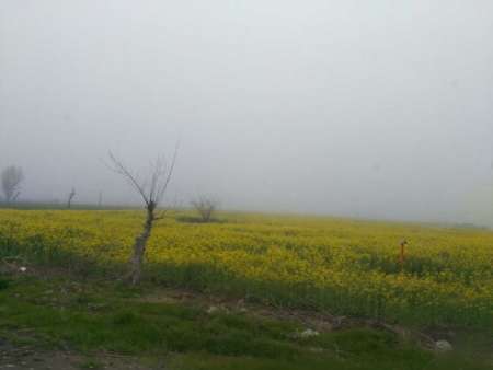 کاهش 6 درجه ای دما و بارش باران در گلستان