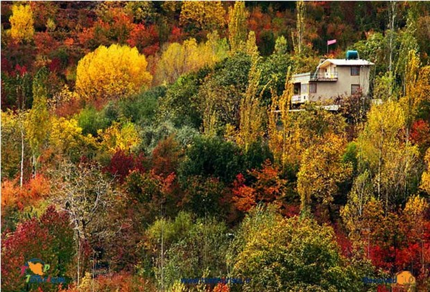 ازدیاد بهره برداران چالش منابع طبیعی همدان