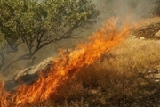 شعله ور شدن مجدد جنگل های گچساران