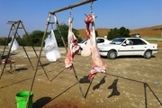 توزیع کنندگان گوشت های مشکوک با کارشناسان دامپزشکی ایلام درگیر شدند