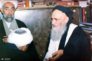 آیت الله العظمی سید‌ شهاب‌ الدین مرعشی‌ نجفی(ره) به روایت تصویر