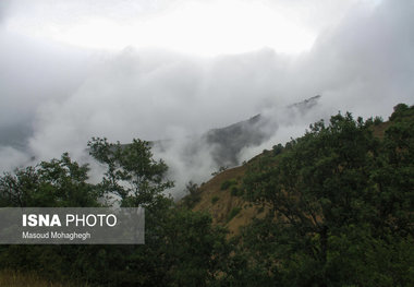 کمبود جنگلبان در منابع طبیعی سمنان  خطر آتش سوزی در جنگل‌های هیرکانی استان سمنان