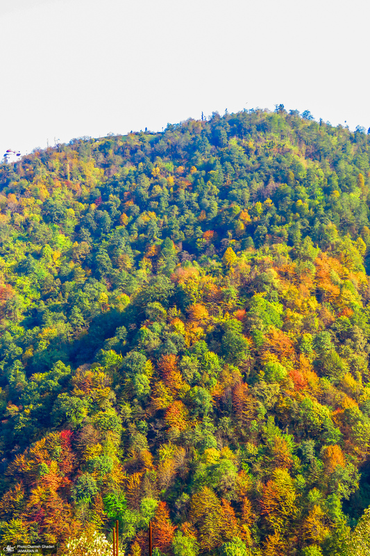 طبیعت خیره کننده روستای سرولات