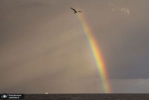 منتخب تصاویر امروز جهان- 2 آذر 1400