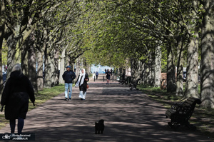 منتخب تصاویر امروز جهان - 14 فروردین 1404