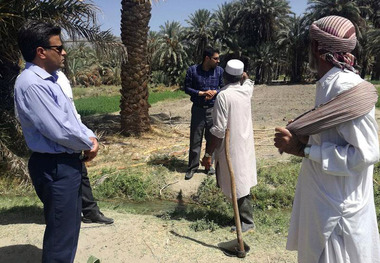 بهره وری تولید کشاورزی استان با اجرای طرح تهک افزایش می یابد