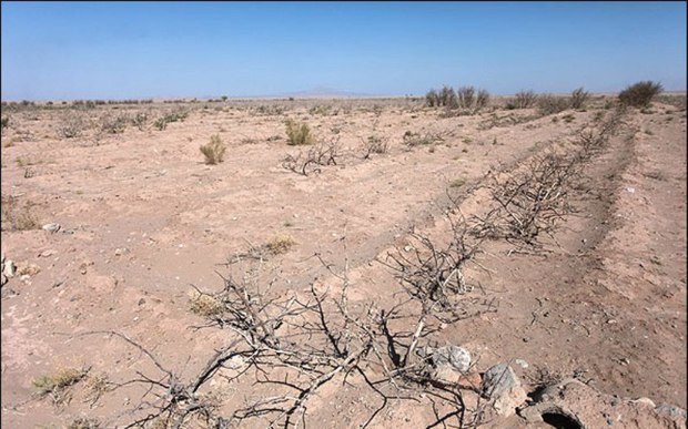خشکسالی قم بیشتر ناشی از عوامل غیر طبیعی است