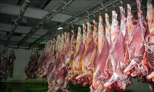 تامین گوشت مورد نیاز 6 استان از طریق کشتارگاه‌های سنندج و سقز