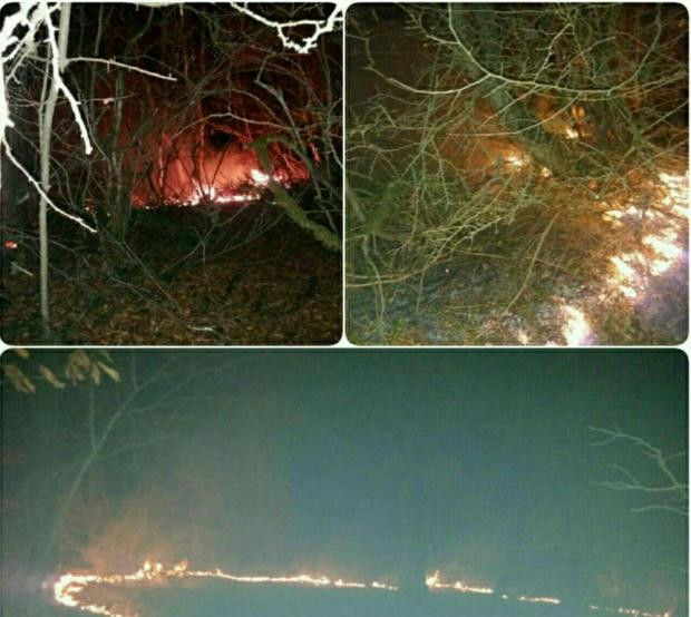 حدود 5 هکتار از مراتع و جنگل سوادکوه در آتش سوخت