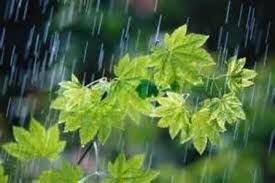 ۴۱۵ میلیمتر بارش در زنجان ثبت شد