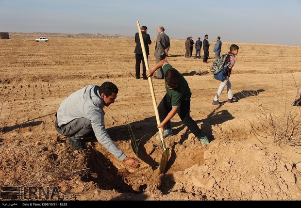 تکمیل کمربند سبز اهواز مانع تصرفات غیرمجاز زمین می شود