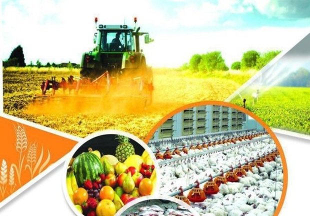 بانک کشاورزی خراسان جنوبی رتبه نخست جذب تسهیلات را کسب کرد