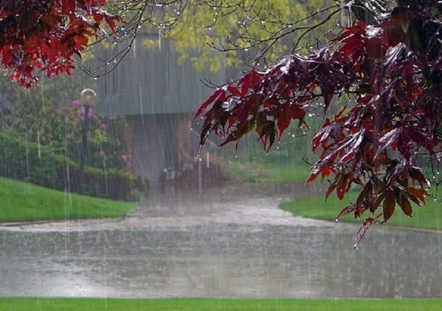 بارش باران در ورامین نسبت به سال گذشته دو برابر شده است