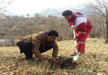 طرح ملی جنگلانه در عرصه های طبیعی شهرستان سروآباد اجرا شد