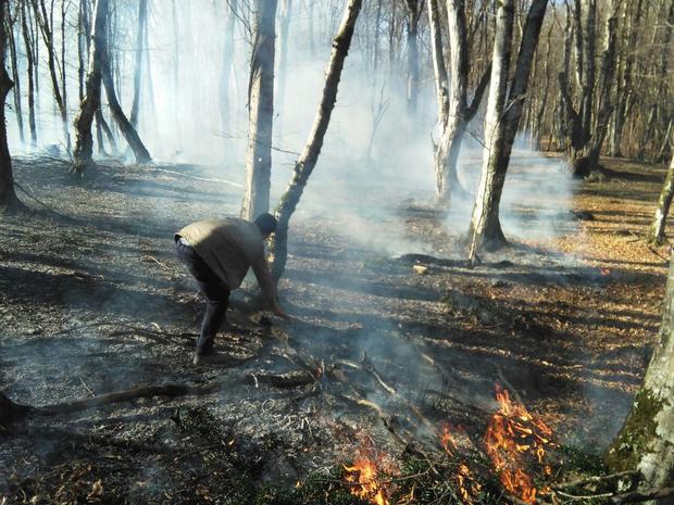 یک هکتار از جنگل های آمل در آتش سوخت