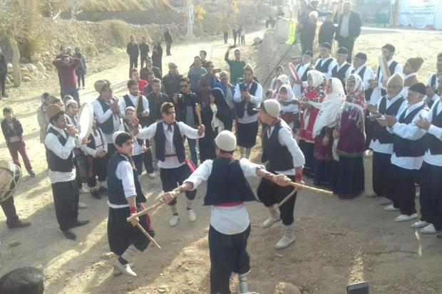 حضور چهارهزار گردشگر در جشنواره سفر به زیستگاه زاغ بور