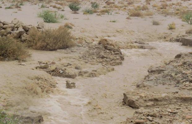 رگبار باران مردم 6 شهر سیستان و بلوچستان را شادمان کرد
