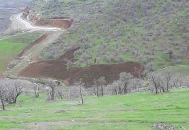 ۶ متخلف حوزه منابع طبیعی مریوان دستگیر شدند