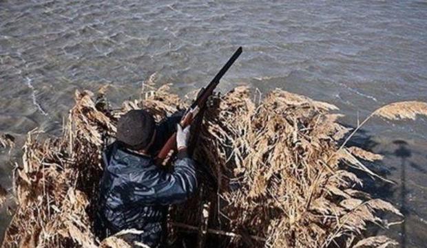 پرونده 270 شکارچی غیرمجاز در مازندران به دادگاه رفت