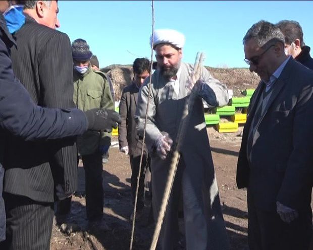 امام جمعه نیر: کاشت درختان مثمر مورد توجه قرار بگیرد