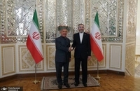 سفر دو روزه رئیس جمهوری تاتارستان به تهران و دیدار با مقامات ایرانی (3)