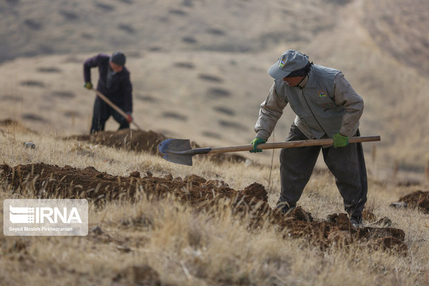 قرارداد اخذ سند تک برگی ۸۶۷ هزار و ۲۰۰ هکتار از اراضی ملی استان مرکزی منعقد شد